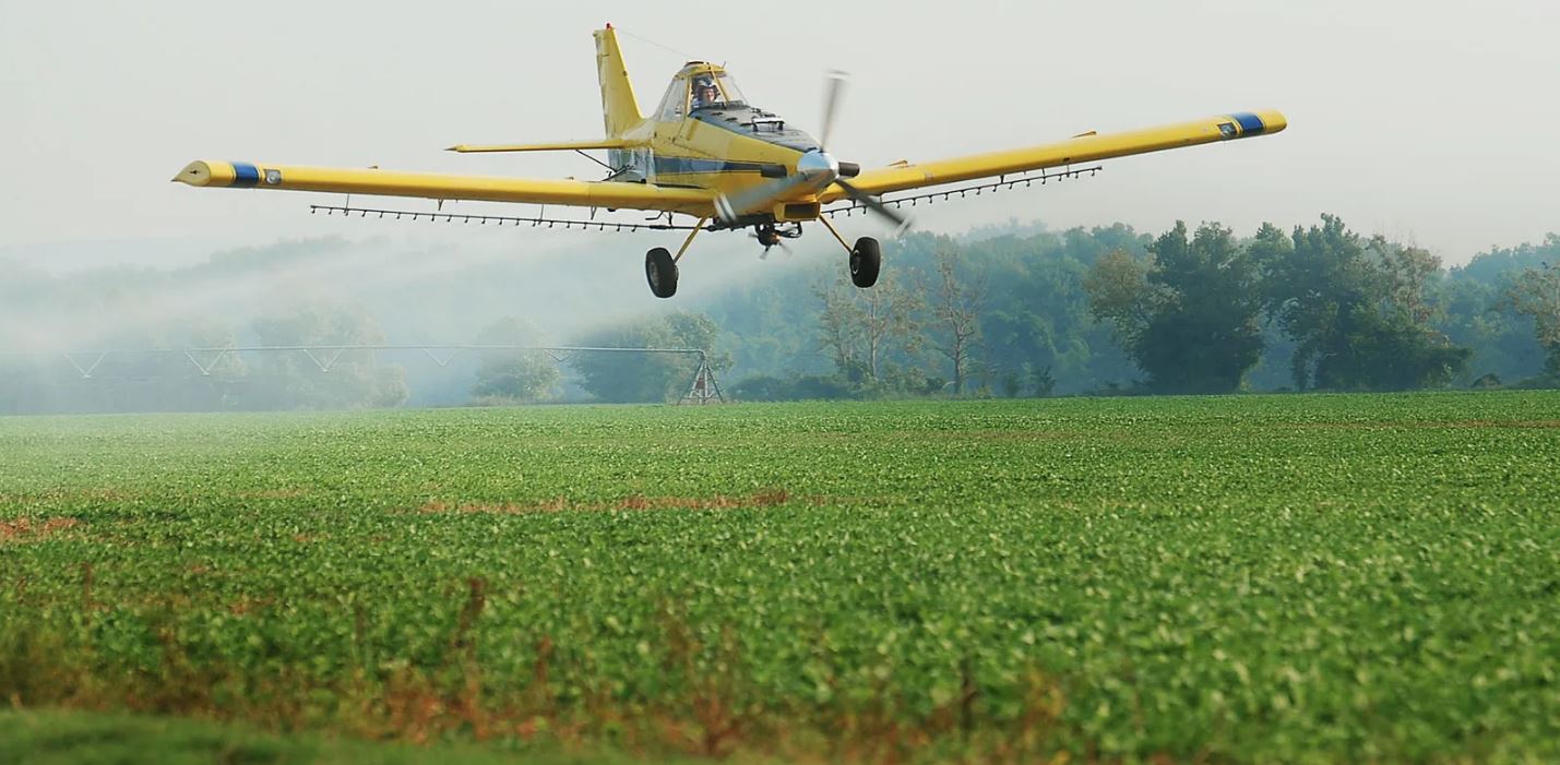 Wings Over the Fields