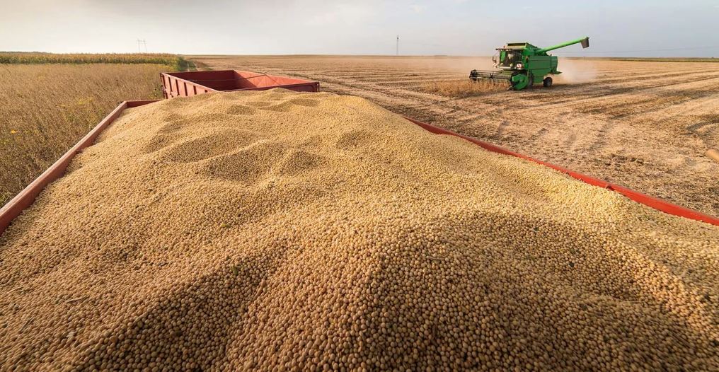 Harvesting Stability