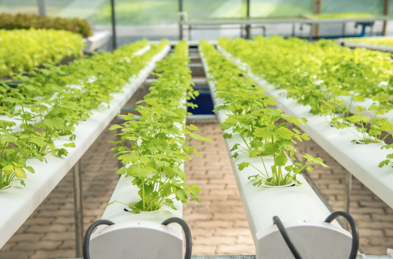 Farming Without Soil
